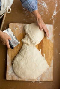 paigegreenkellycollinsgeiser32814-038