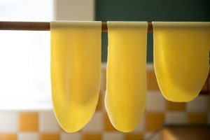 paigegreenkellycollinsgeiser32814-094