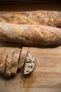 paigegreenkellycollinsgeiser32814-181